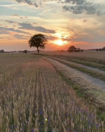 #природа