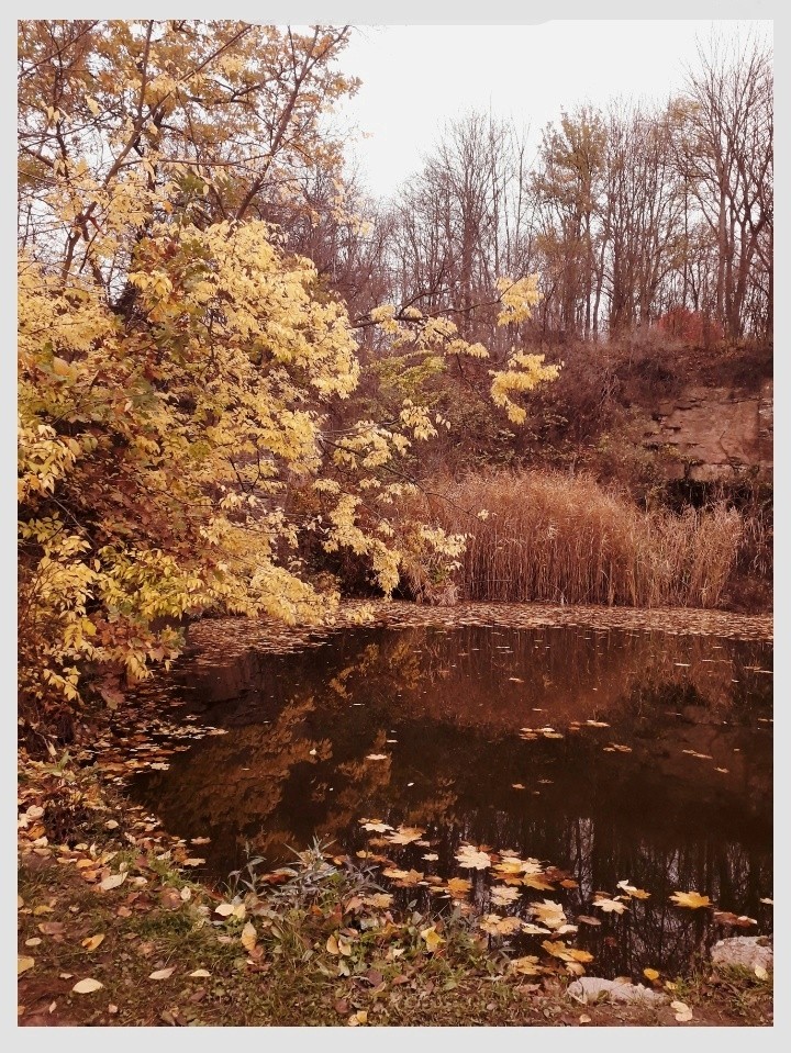 my place