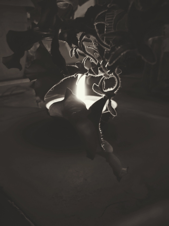 Giochi di luce