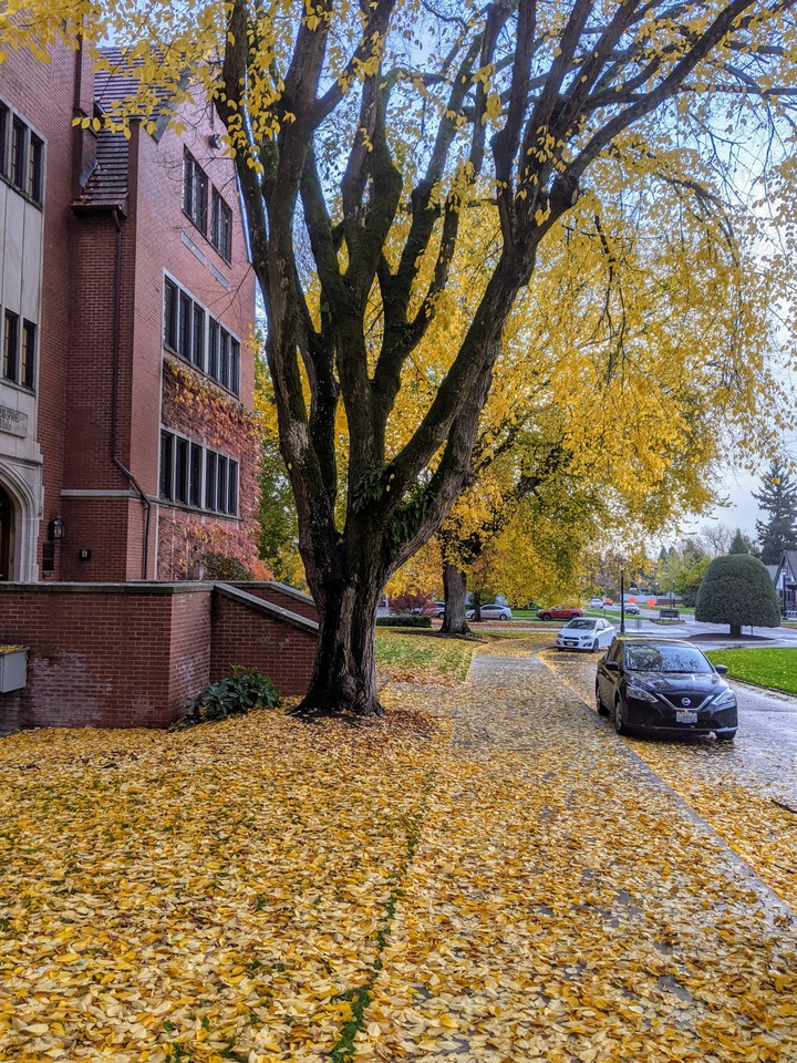 sidewalk