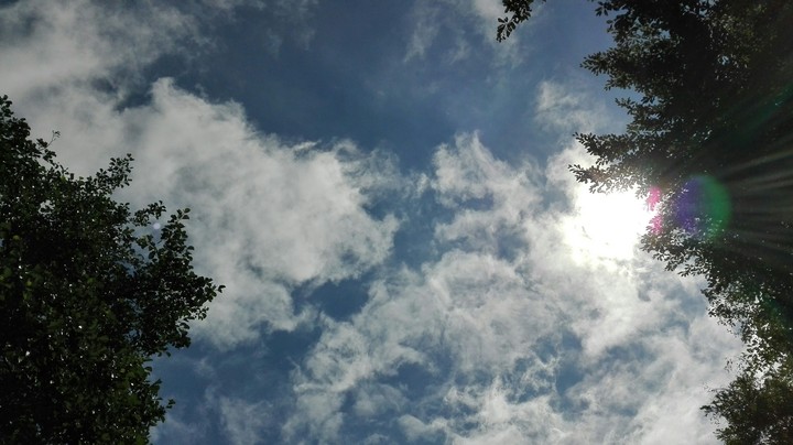 Sunlight
