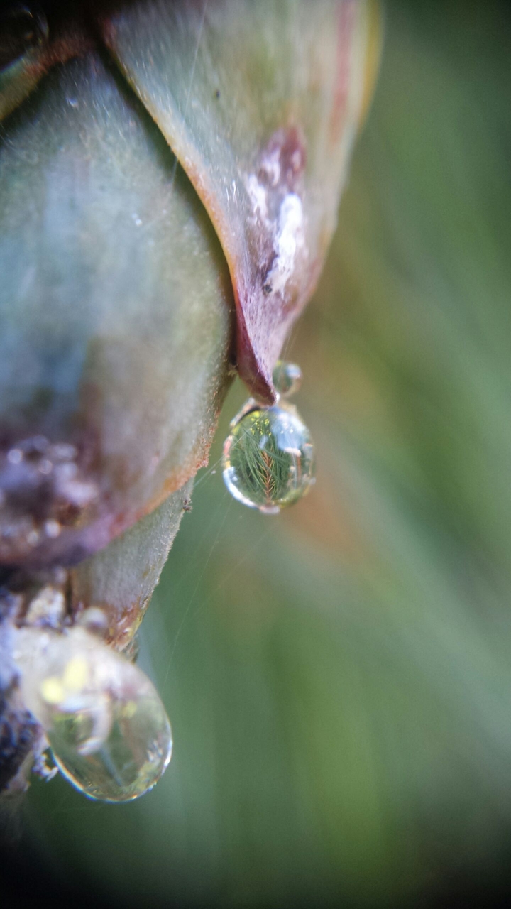 Drop