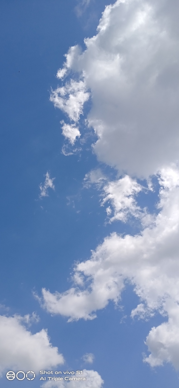 sky shot