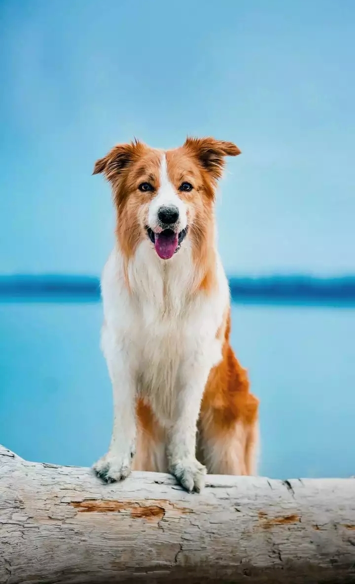 ☺