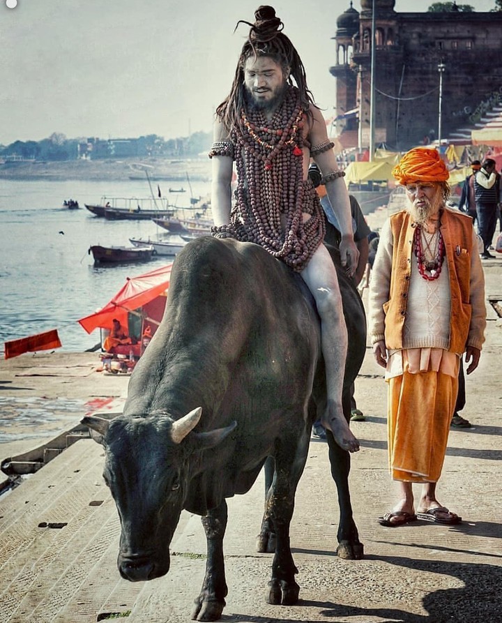 saadhu