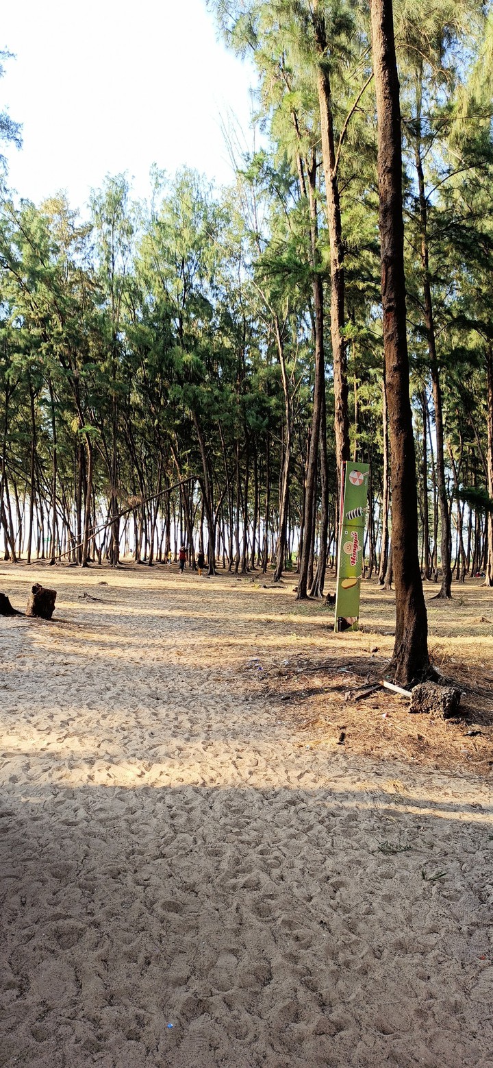 Tannerubhavi