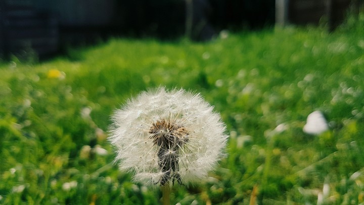 standing alone