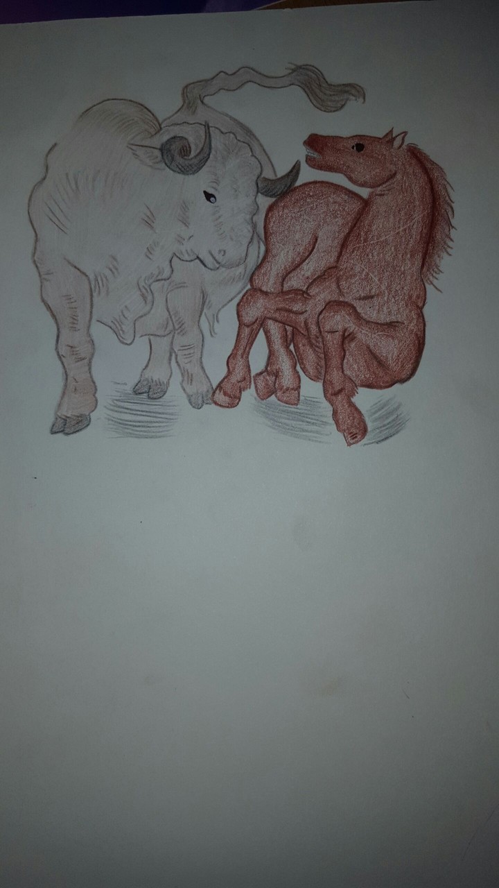 my version from picasso's horse and bull