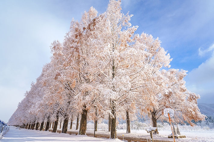 雪景色