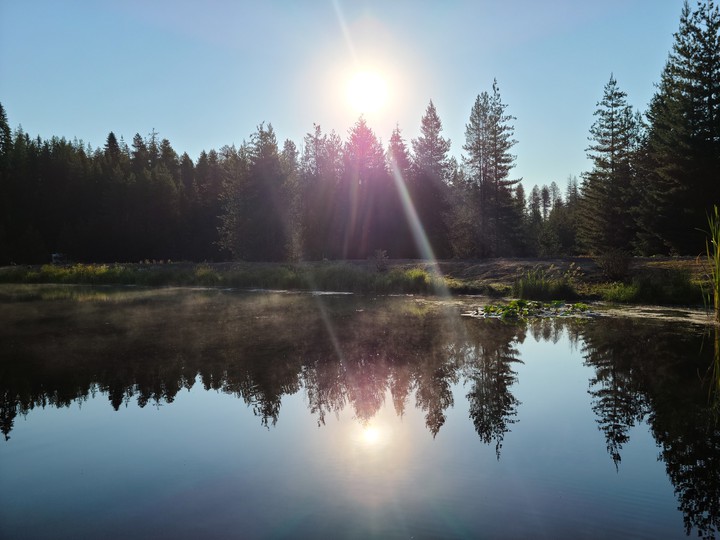 Time to Reflect