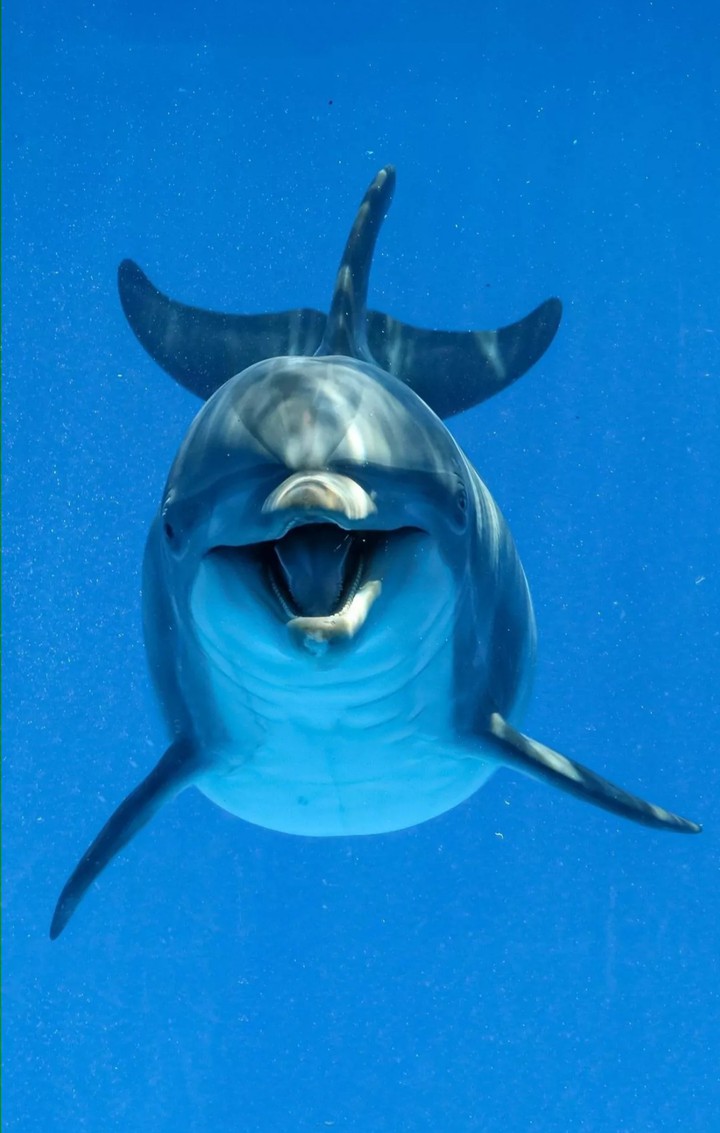 ? ?
