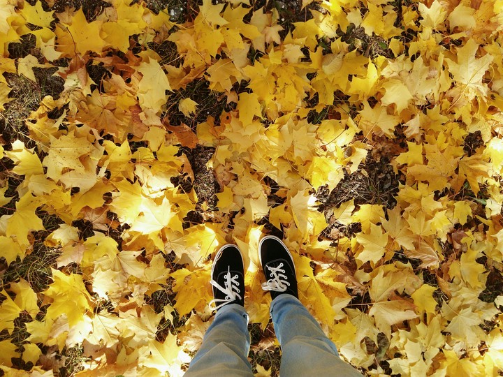 golden leaves