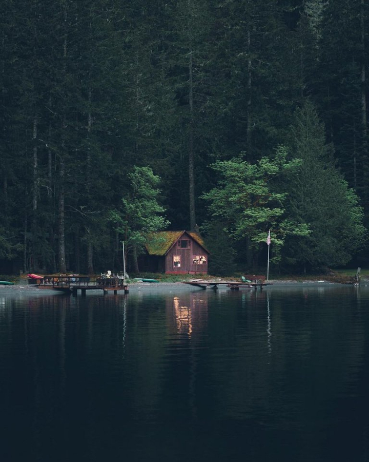 forest
