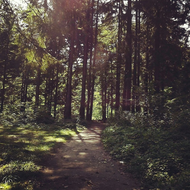 Nature
