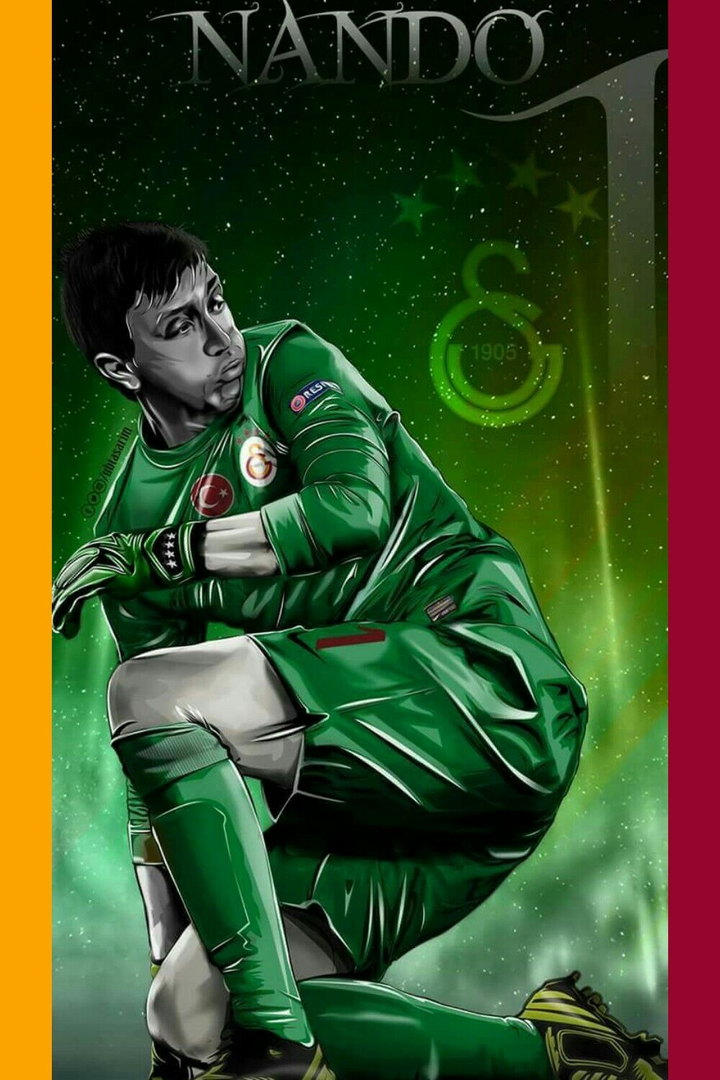fernando muslera galatasaray nando