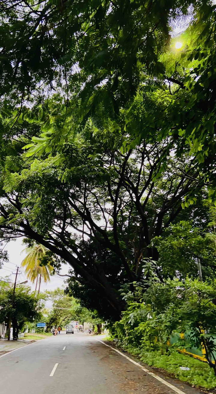 Corner Green