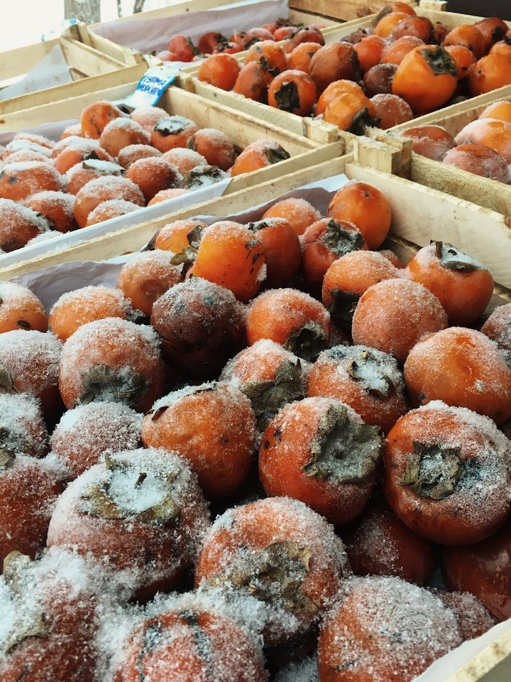 persimmon