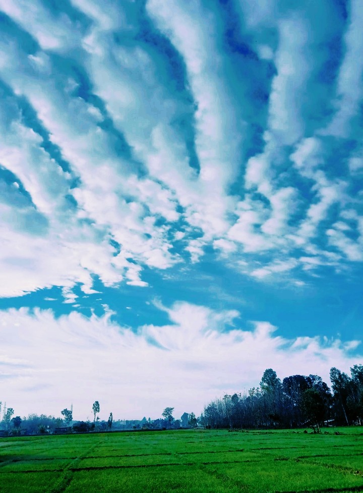 Ossm Blue Sky