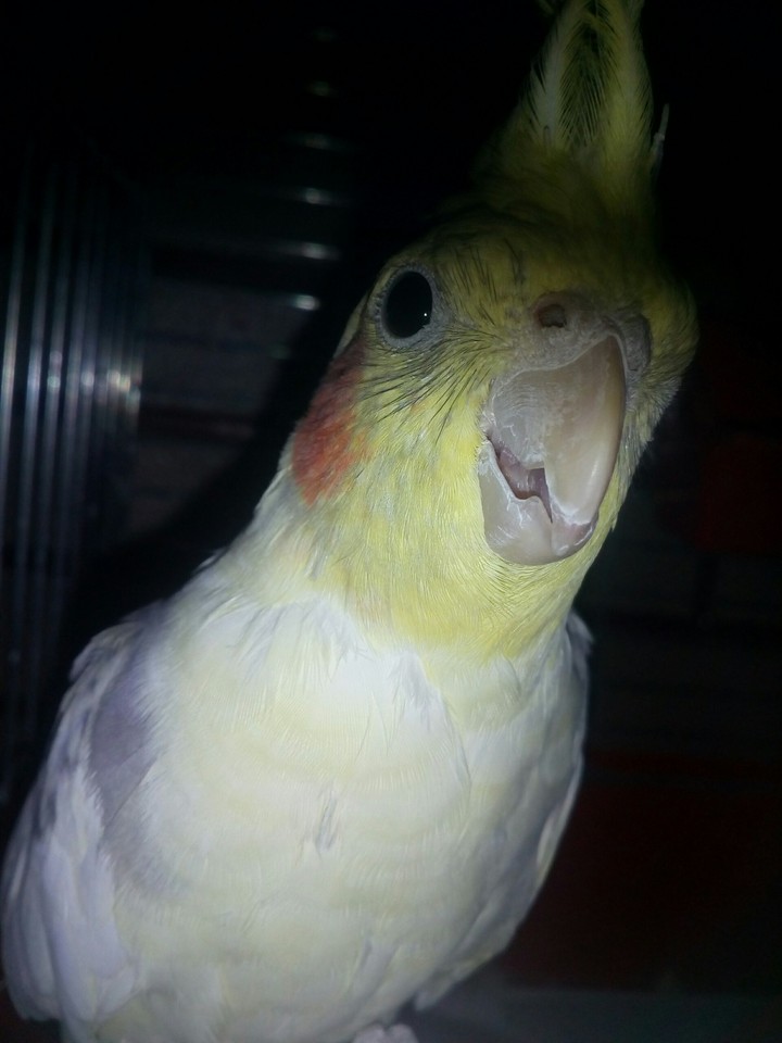 hello