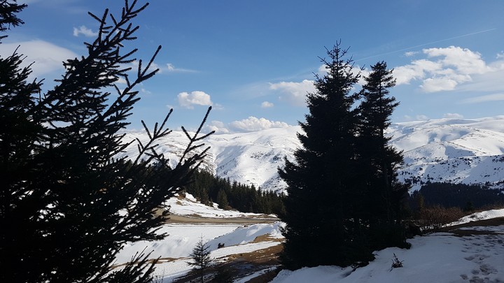 yayla turkey giresun