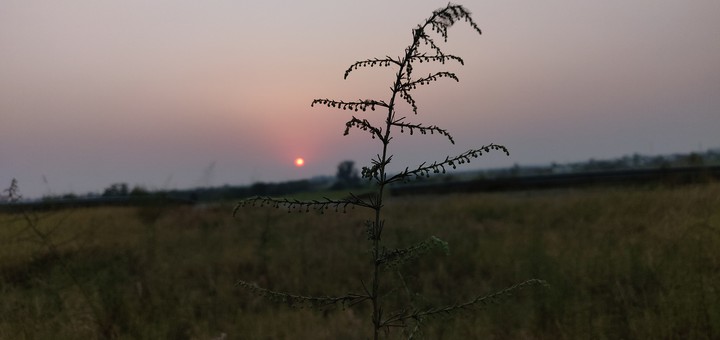 sunset