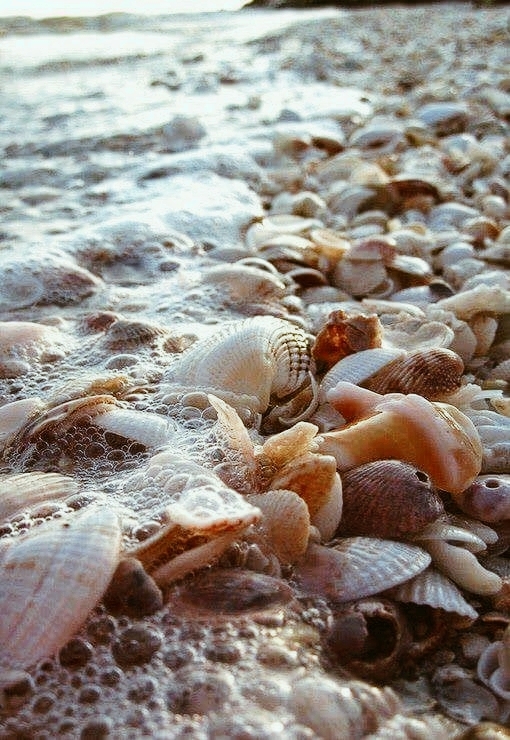 sea