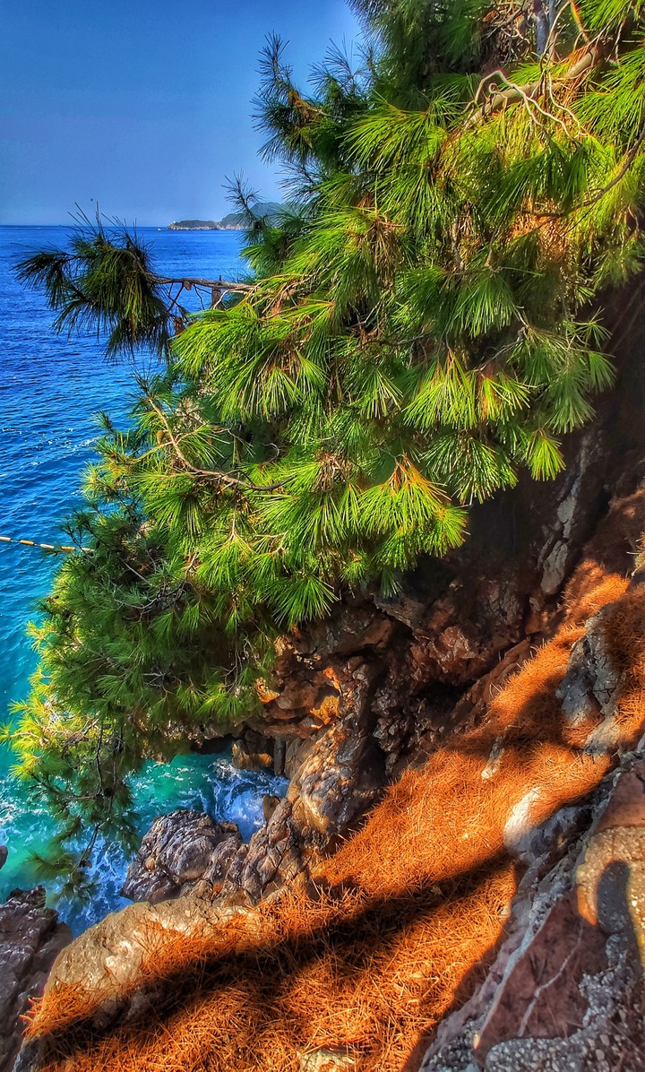 Montenegro