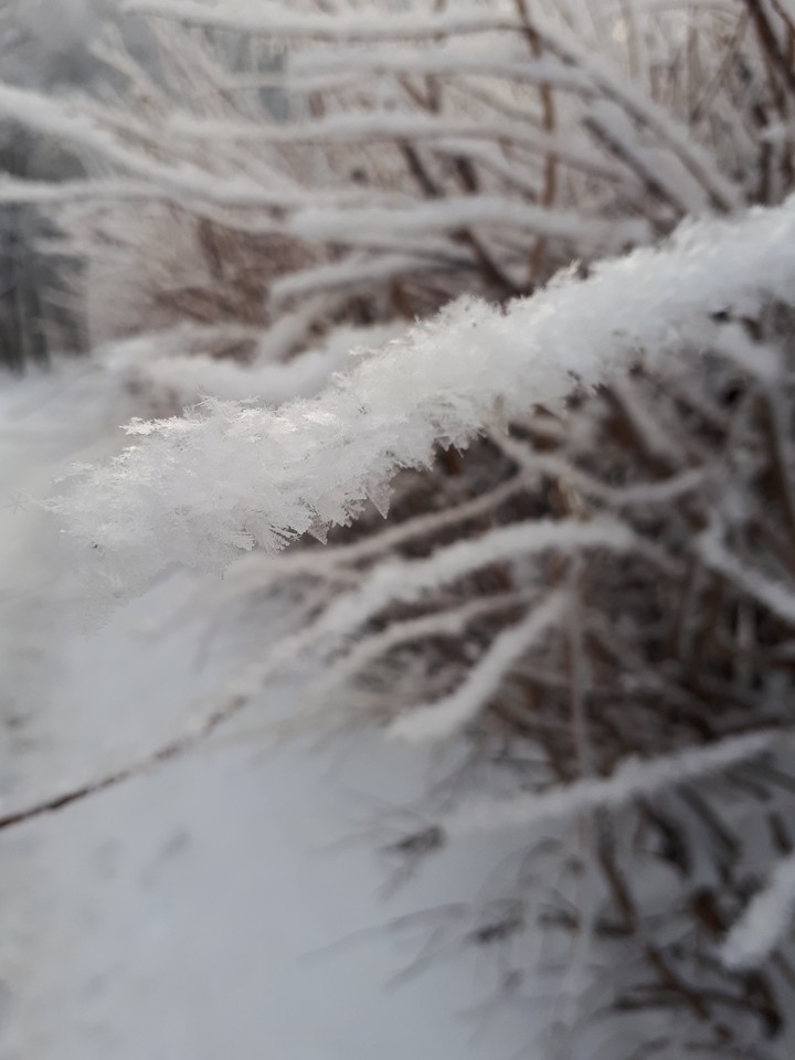 В снегу