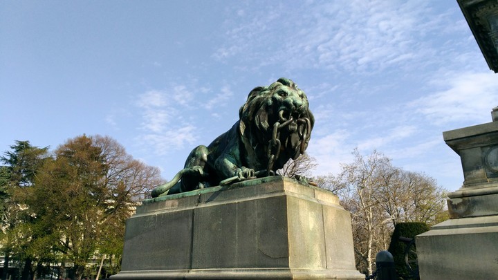 lion