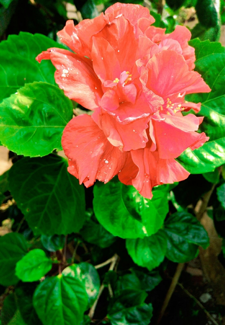 just a click