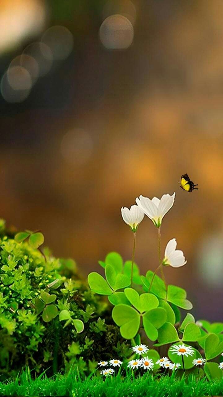 ❤