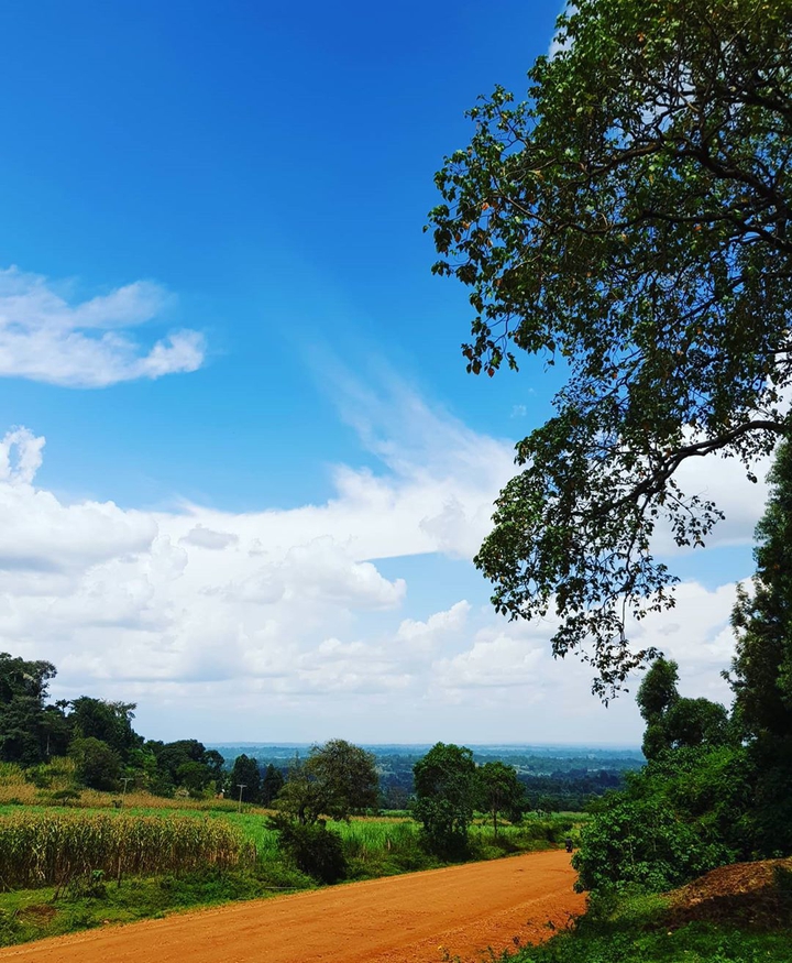 Kapsokwony Skies