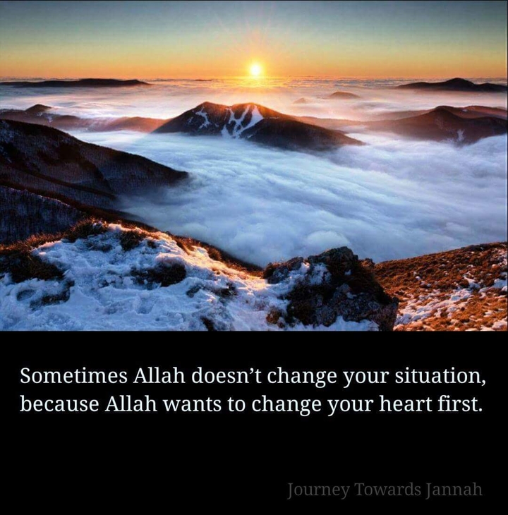 Journey Towards Jannah