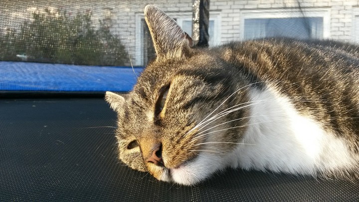 #einfach mal Chillen