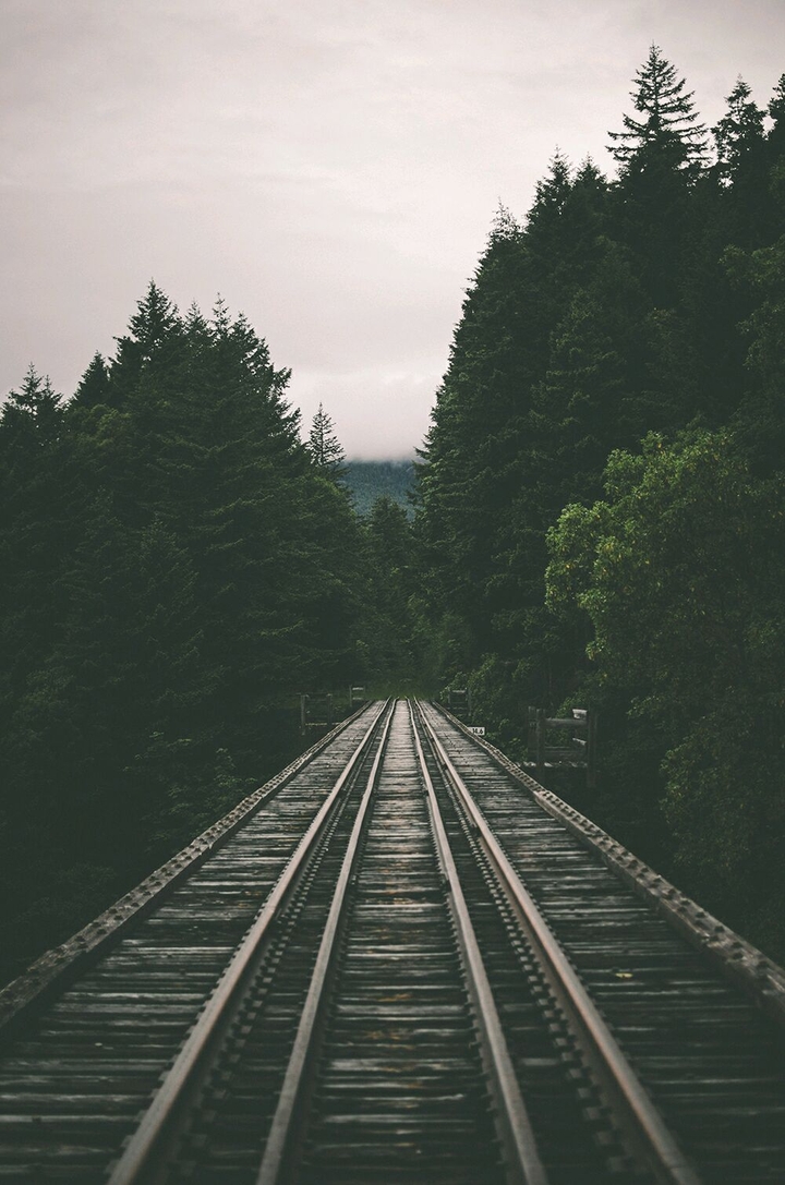 tracks