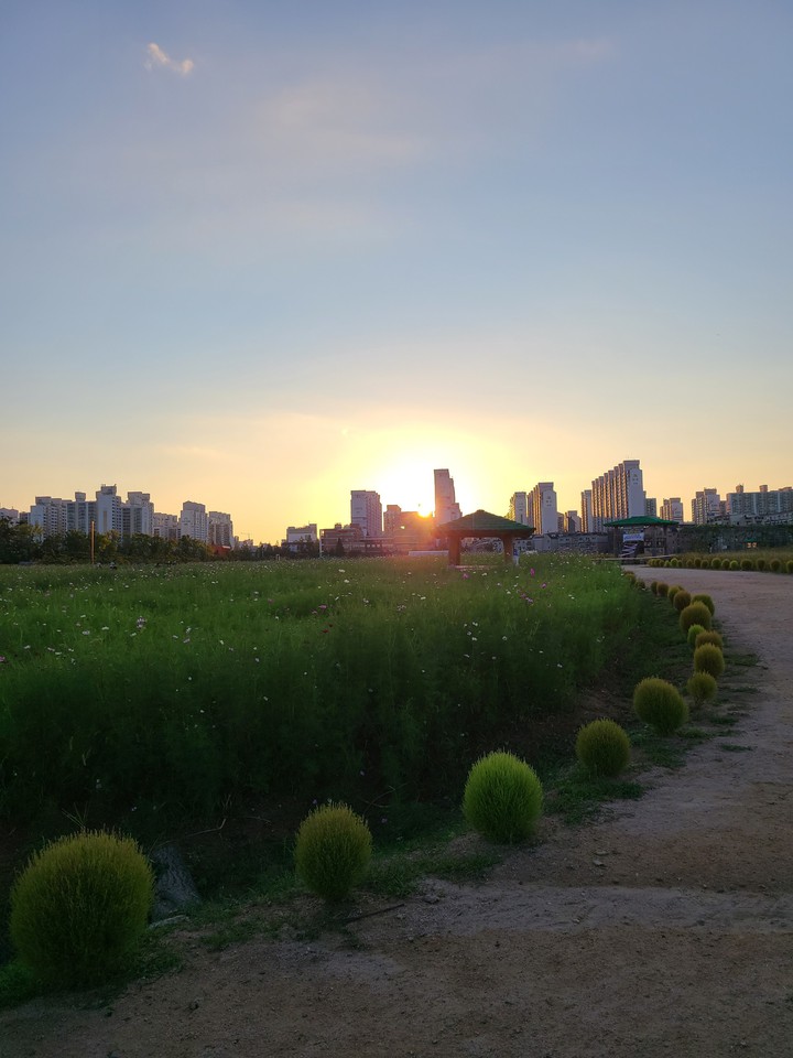 산책길