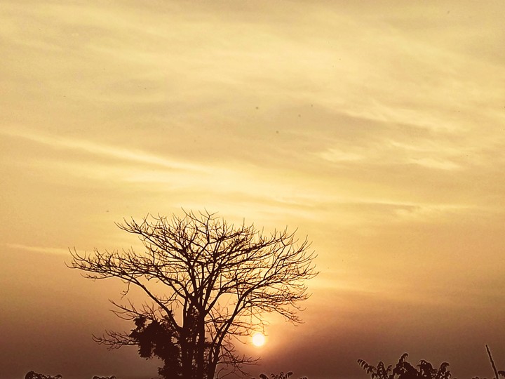Sunset. ?