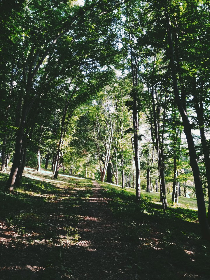 path