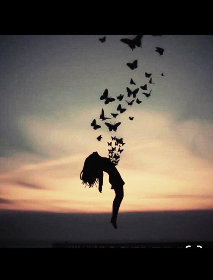 Lebe Liebe ?