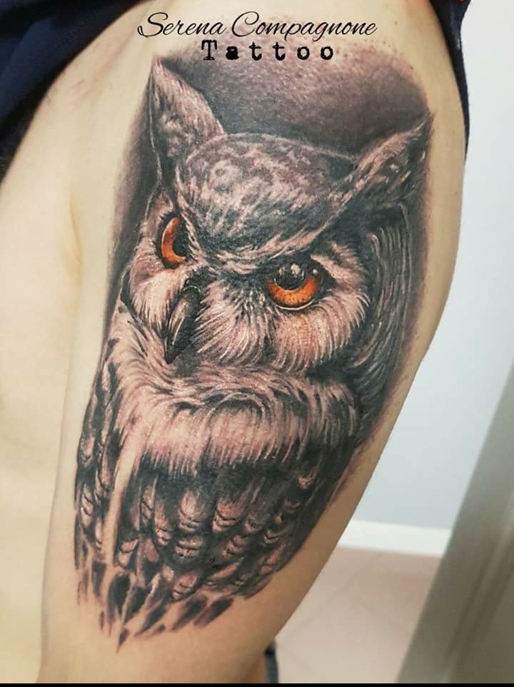 owl