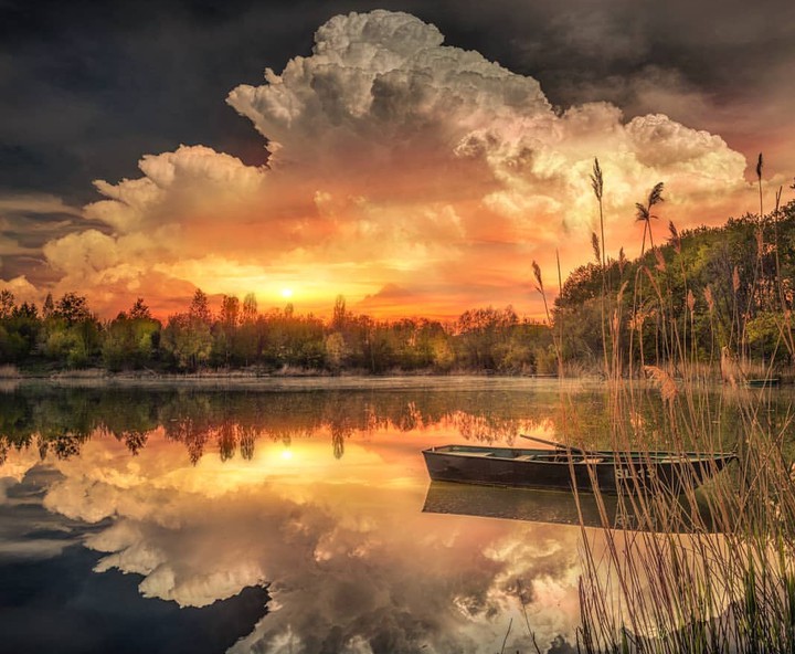 reflection