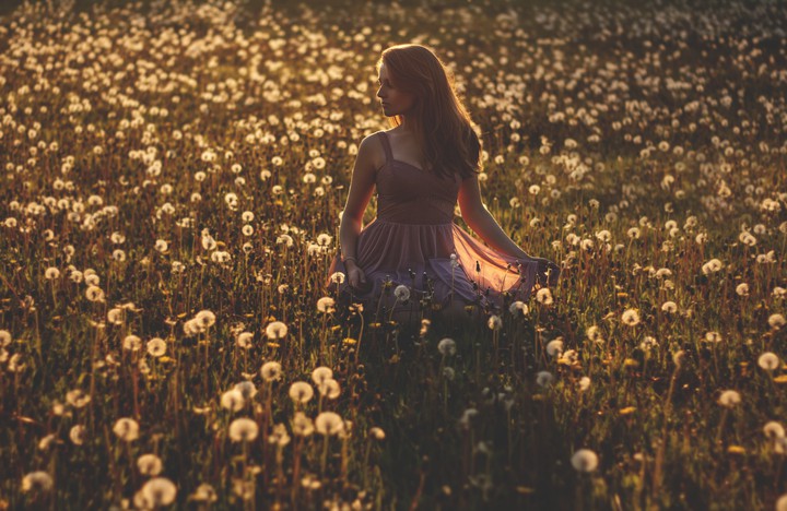 field