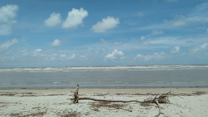 the sea