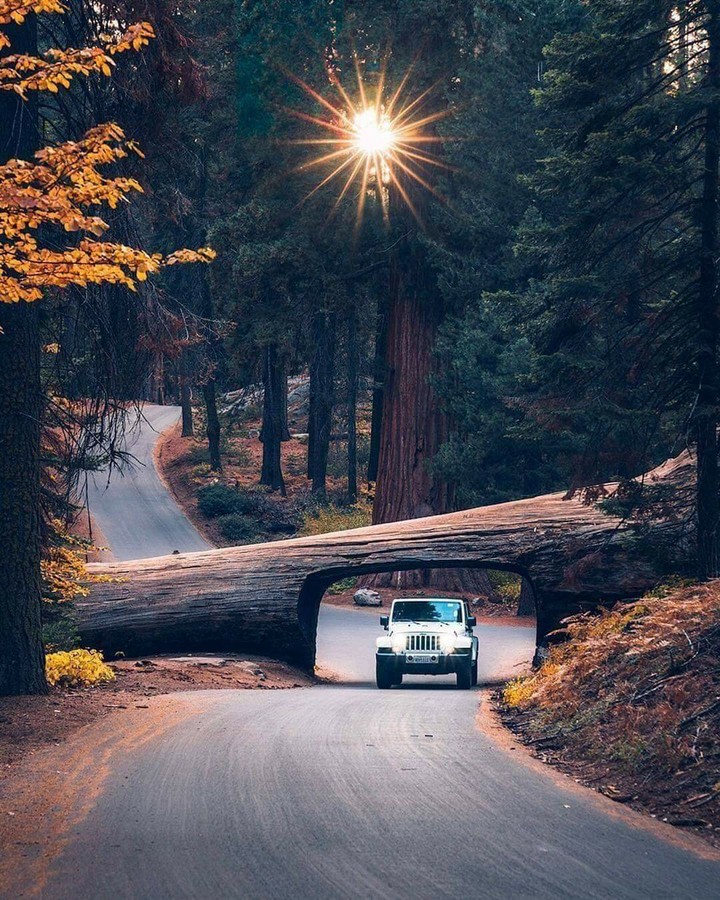 Carretera