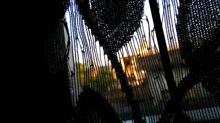mobile photography