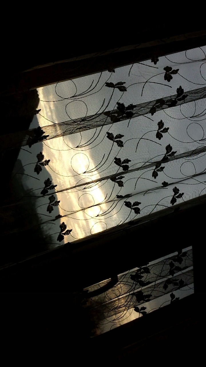 Sunet