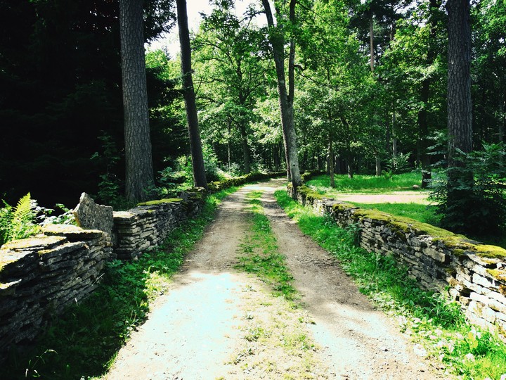 Estonian open air museum