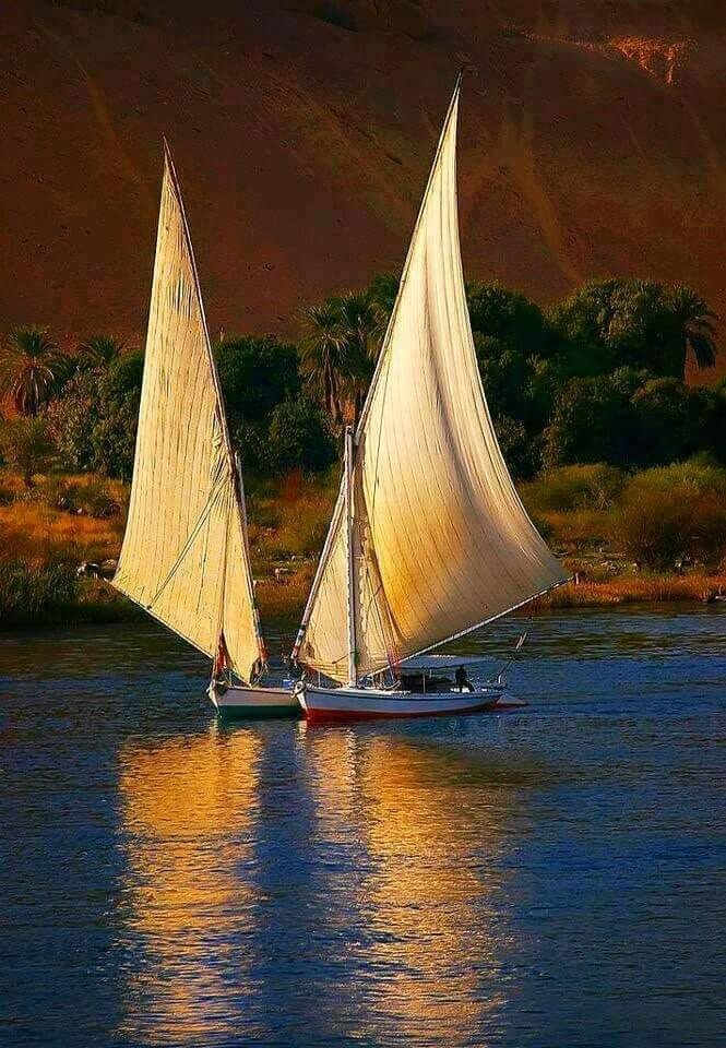 barco