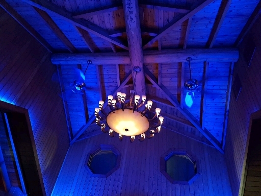 Blue light W wings