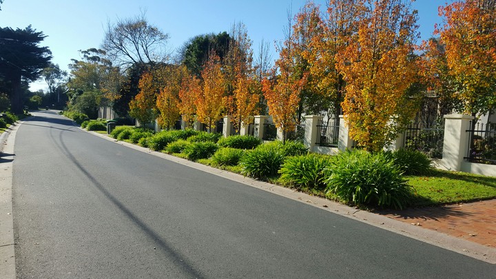 Autumn Is Amazing.